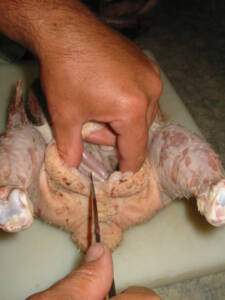 11 225x300 How to Process Meat Birds – Graphic (Picture Heavy) Part Two