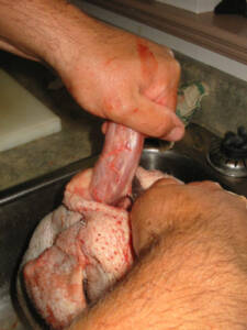 19 225x300 How to Process Meat Birds – Graphic (Picture Heavy) Part Two