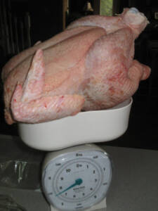 8 225x300 How to Process Meat Birds – Graphic (Picture Heavy) Part Two