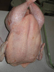 9 225x300 How to Process Meat Birds – Graphic (Picture Heavy) Part Two