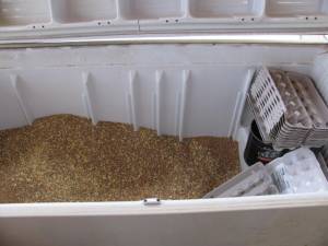 IMG 3996 300x225 How to Store Animal Feed