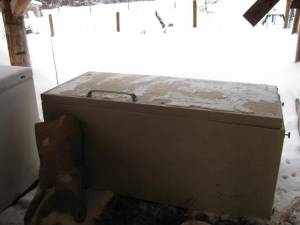 IMG 3998 300x225 How to Store Animal Feed
