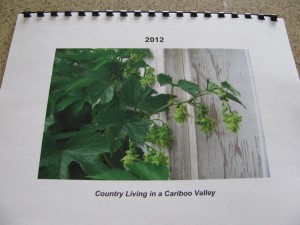2012 Gardening Tips Calendar IMG 5315 Copy 300x225 2012 Gardening Tips Calendar