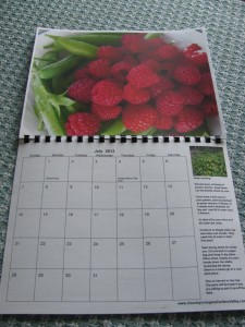 IMG 6694 225x300 2013 Gardening Tips Calendar