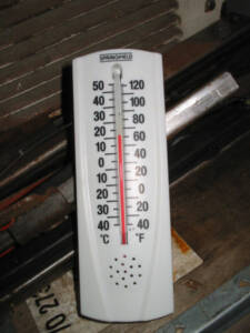 Preparing for Meat Birds thermometer Jun 208 225x300 Preparing for Meat Birds