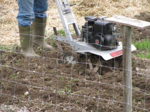 Garden Preparation and Tilling IMG 4498 300x225 Garden Preparation and Tilling