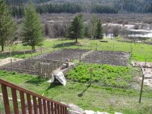 Garden Preparation and Tilling IMG 4528 300x225 Garden Preparation and Tilling