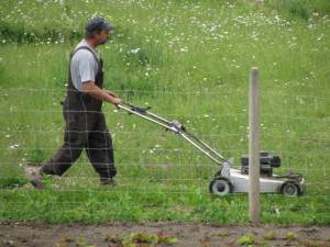 Tucking Your Yard In For The Winter Part 1 IMG 0803 300x225 Tucking Your Yard In For The Winter Part 1