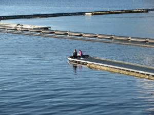 IMG 5141 300x225 Wordless Wednesday from Prince Rupert