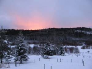 A Winter Sunset Wordless Wednesday IMG 5648 300x225 A Winter Sunset Wordless Wednesday