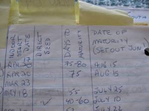 My Seed Starting Schedule IMG 5722 300x225 My Seed Starting Schedule
