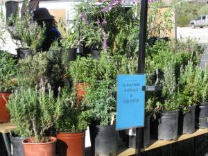 Do You Support Your Local Farmers Market? IMG 57401 300x225 Do You Support Your Local Farmers Market?