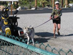 When da Wolf Met Tessy IMG 5828 300x225 When da Wolf Met Tessy