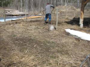 Tilling the Barn Garden IMG 5921 300x225 Tilling the Barn Garden