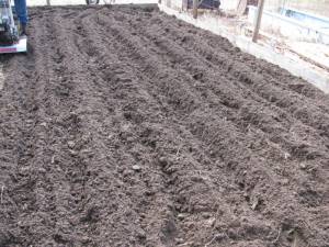 Tilling the Barn Garden IMG 5926 300x225 Tilling the Barn Garden