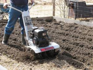 Tilling the Barn Garden IMG 5927 300x225 Tilling the Barn Garden