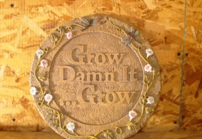 inspirational plaque inspirational plaque