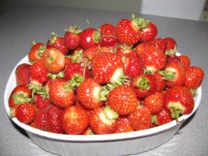 Berry Madness IMG 3470 300x225 Berry Madness