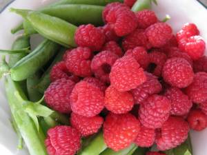Berry Madness IMG 4988 300x225 Berry Madness