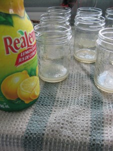 IMG 6557 225x300 Canning Asian Pears using Tattler Seals and Lids