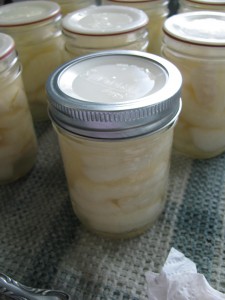 IMG 6563 225x300 Canning Asian Pears using Tattler Seals and Lids