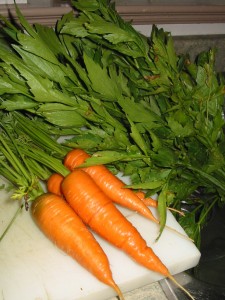 harvested carrots and lovage aug 13 08 225x300 Growing & Harvesting Carrots   Wordless Wednesday