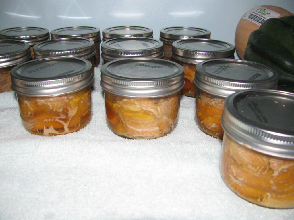 Canning Salmon Country Living and Garlic Farming in BC