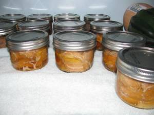 Canning Salmon IMG 6699 300x225 Canning Salmon