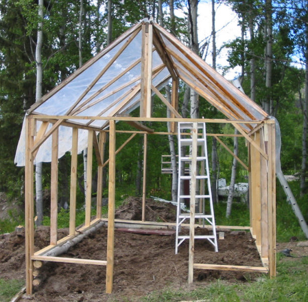 How to Build a Greenhouse For Under 200 Country Living and Garlic
