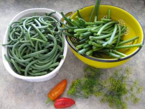 Garlic Scapes, Dill and Hot Peppers, making Pickled Garlic Scapes