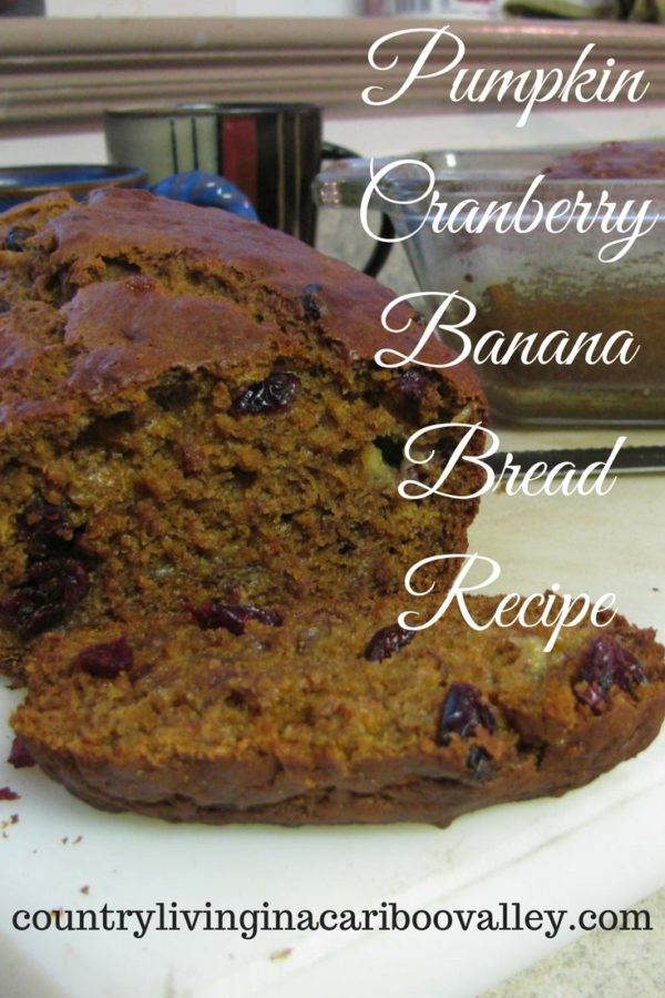 Pumpkin Cranberry Banana Bread - Recipe - Country Living ...